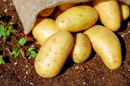 patate dop galatina
