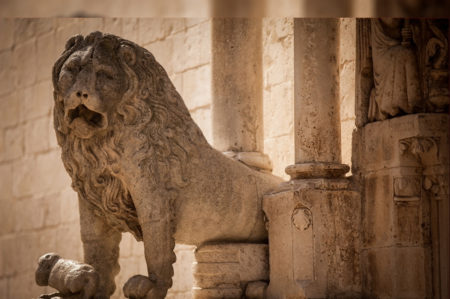 altamura leonessa di Puglia