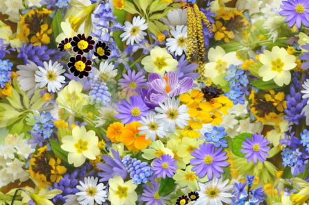 coldiretti vendita fiori