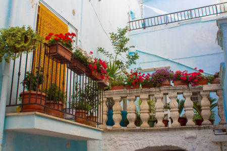 Artisti per Casamassima