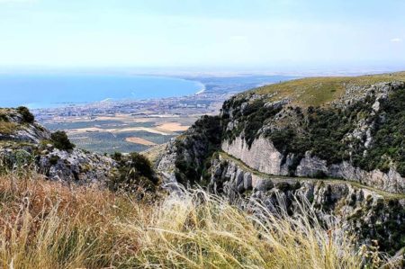 Gargano Covid free