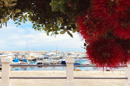 FotografiaMOLA, evento a Mola di Bari