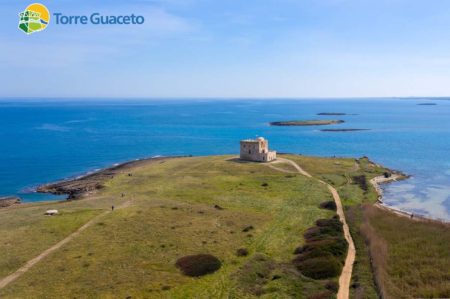 Torre Guaceto