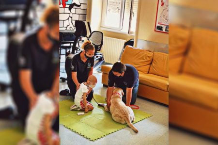 Oncoematologia pediatrica, a Bari torna la Pet Therapy