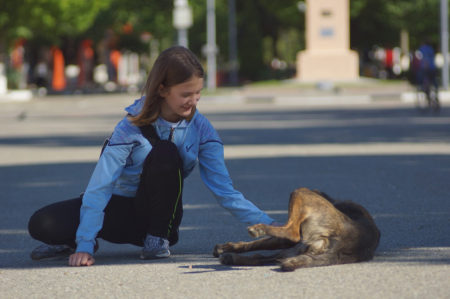 Animal Help, a Vieste numero per animali in difficoltà