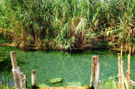 Fiume Tara, Taranto