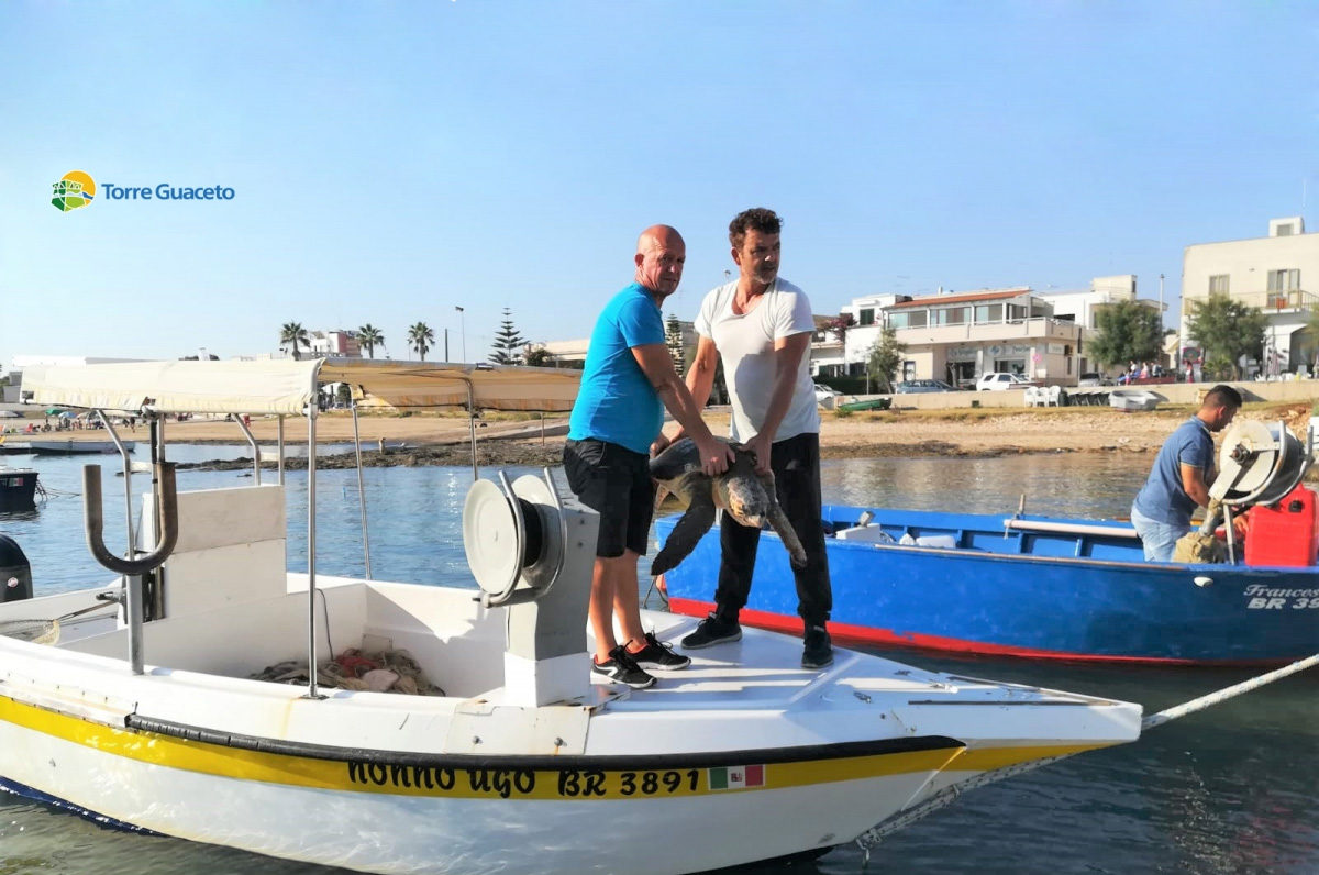 Torre Guaceto, salvata una tartaruga