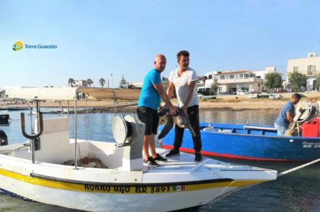 Torre Guaceto, salvata una tartaruga