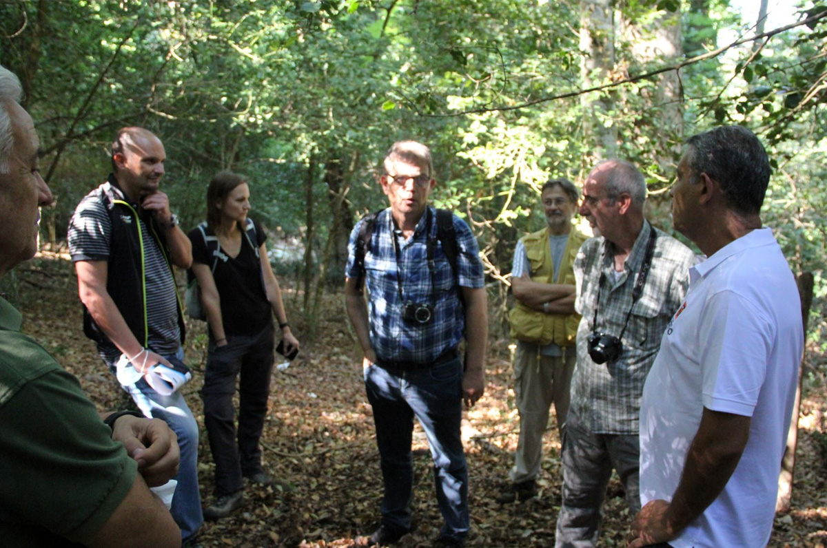 Il Gargano punta al terzo riconoscimento UNESCO Il Gargano punta al terzo riconoscimento UNESCO