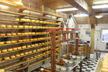 Caseifici pugliesi, come presentare il bando