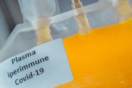 Asl Lecce, donazione plasma iperimmune