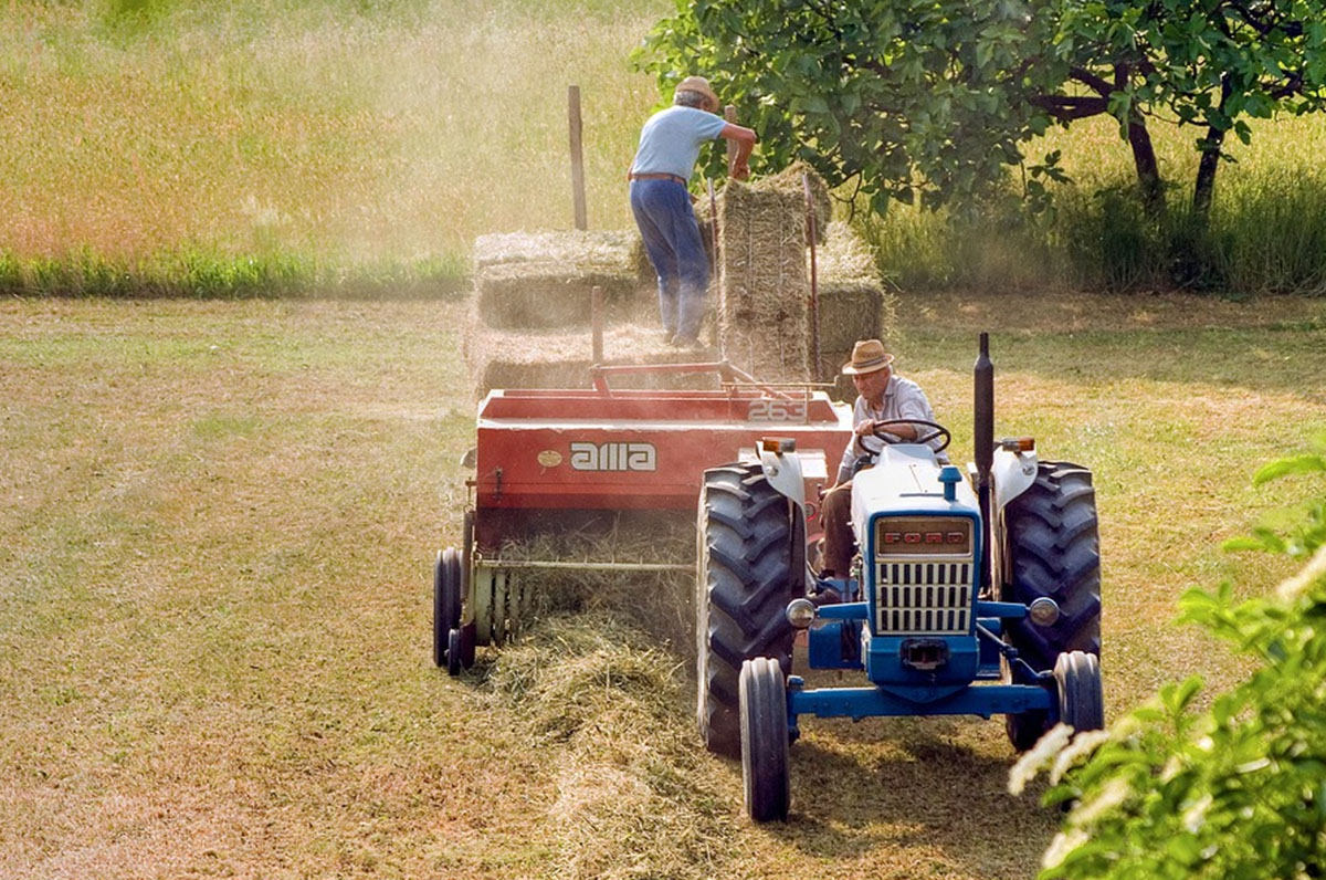 Cia Puglia, agricoltura in netta ripresa Cia Puglia, agricoltura in netta ripresa
