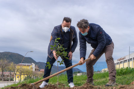 Cagnano Varano, piantumati 3000 alberi