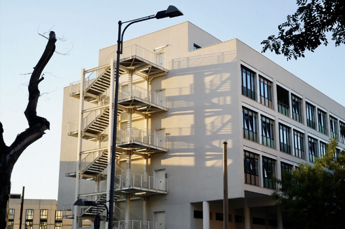 Studio Uniba, danno renale riparato da cellule staminali