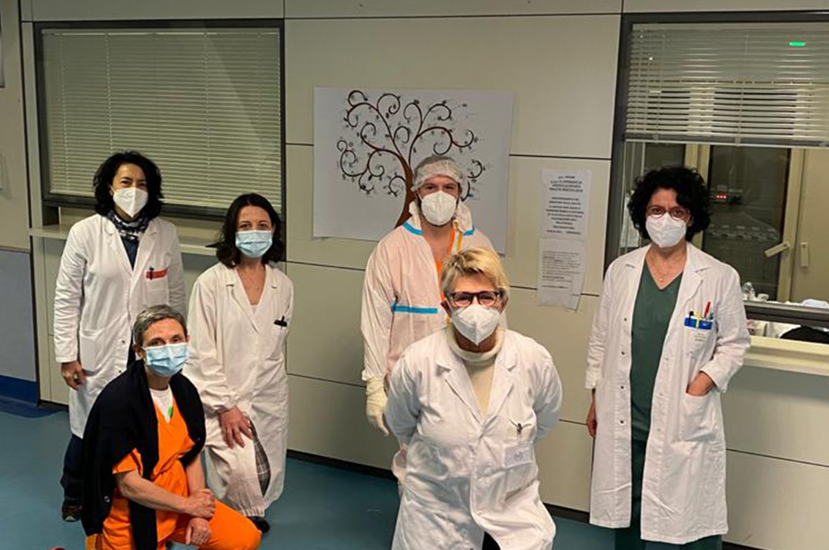 Albero della vita in area Covid, ad Altamura un messaggio di speranza