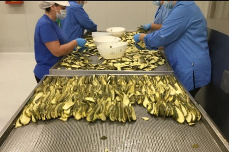 Linea Verde Life Bisceglie