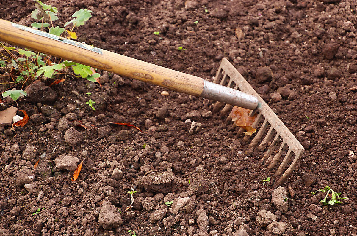 Mesagne, orto nel parco archeologico per pagare gli scavi