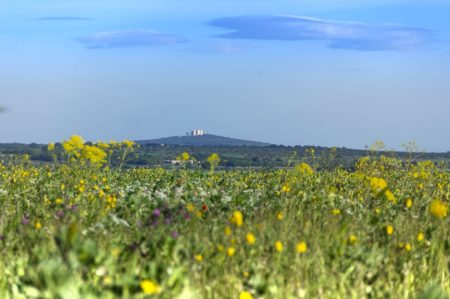 Parco Nazionale dell'Alta Murgia