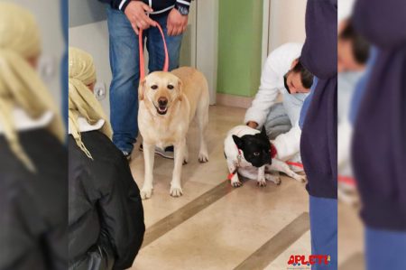 Bari, oncoematologia pediatrica: pet therapy in corsi