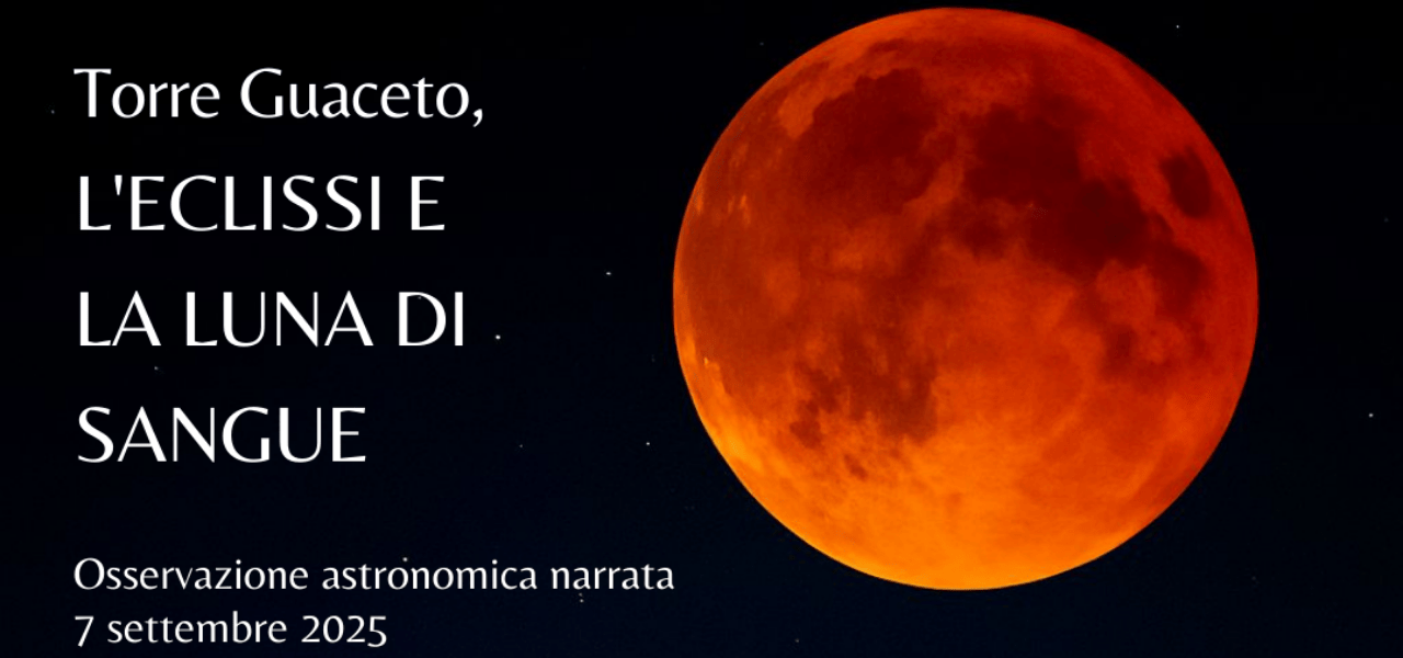 Domani sera la Luna di Sangue all'oasi WWF di Torre Guaceto | Puglia.com
