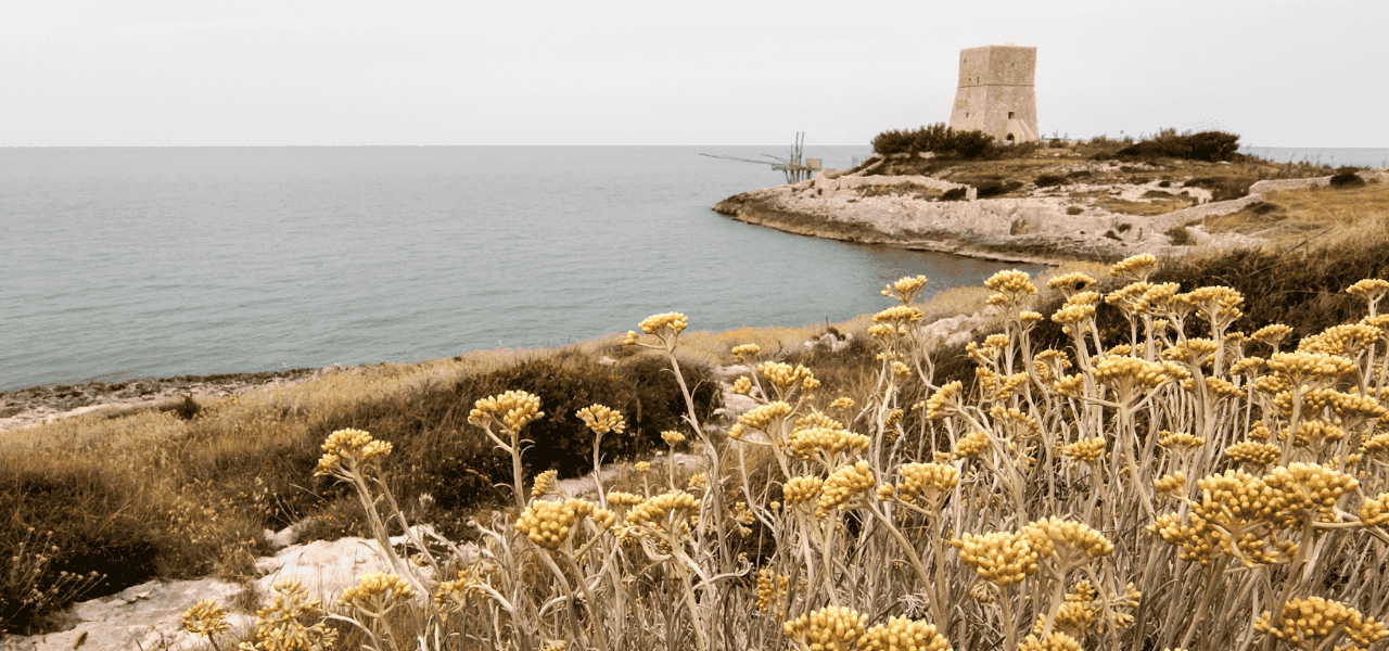 Inverno in Puglia: 5 escursioni inverno 2025 da scoprire | Puglia.com