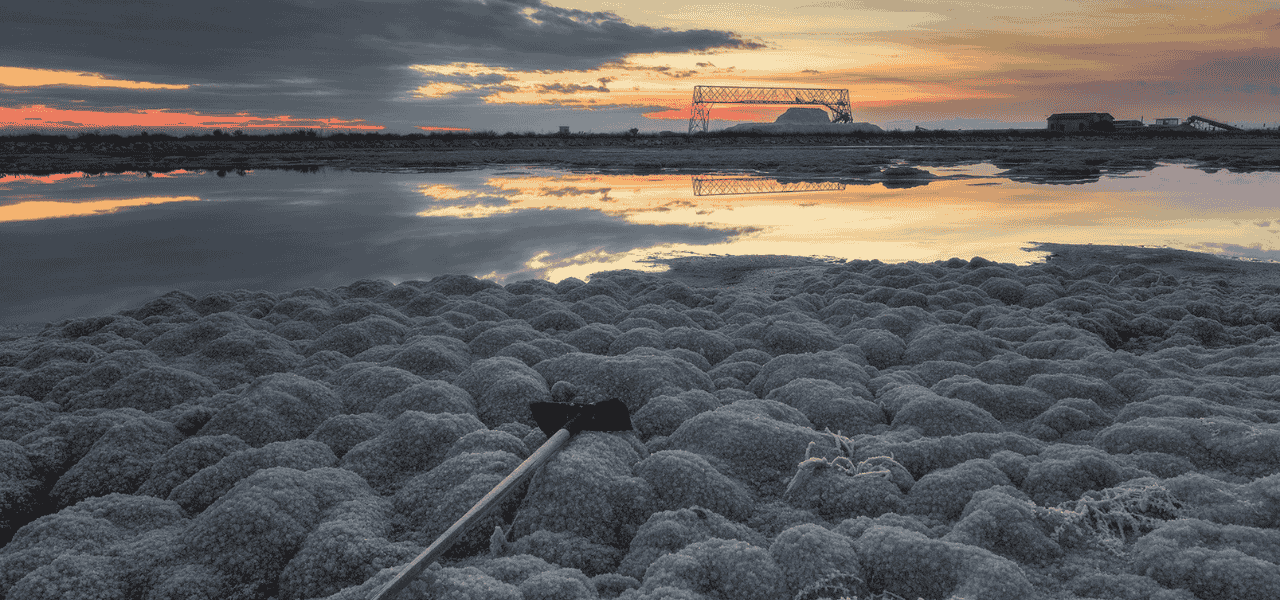 Giornate FAI per le Scuole: scoprire la Puglia con gli apprendisti ciceroni | Puglia.com