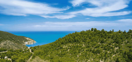 Cammini pugliesi: crescita record per il turismo lento in Puglia | Puglia.com