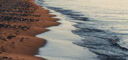 Radici in Movimento a La Porta dei Leoni: una giornata di benessere affacciati sul mare | Puglia.com