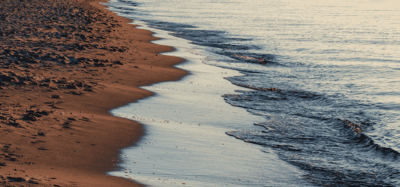 Radici in Movimento a La Porta dei Leoni: una giornata di benessere affacciati sul mare | Puglia.com